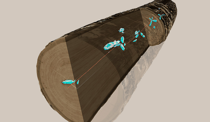 CT-scanned logs