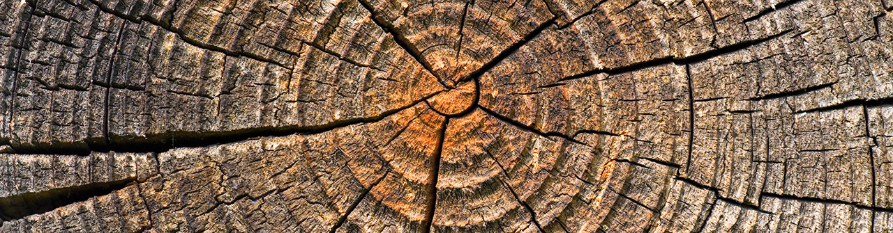 Why Wood