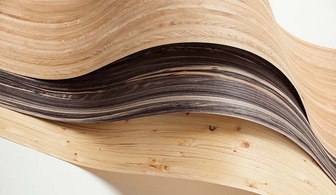 Technical veneers